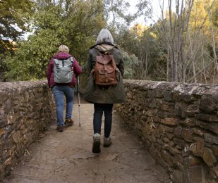 two-senior-women-crossing-stone-bridge-while-out-nature